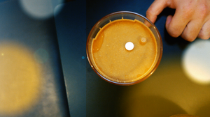 Komfid lid - protect your drink